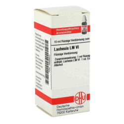 Lm Lachesis Vi (10 ml) – PZN 2668653