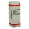 Latrodectus Mactans D 12 Dilution (20 ml) – PZN 2926049
