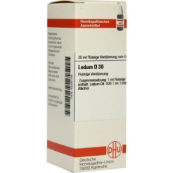 Ledum D 30 Dilution (20 ml) – PZN 4224179