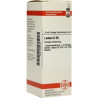 Ledum D 30 Dilution (20 ml) – PZN 4224179