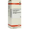Lycopus Virg. D 1 Dilution (50 ml) – PZN 2802910