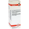 Lithium Carb. D 6 Dilution (20 ml) – PZN 2617012