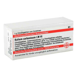 Lm Kalium Carbonicum Vi Globuli (5 g) – PZN 2659499
