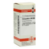Lm Colocynthis Xxx (10 ml) – PZN 2674398