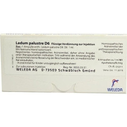 Ledum palustre D6, 8 ST – PZN 7055062