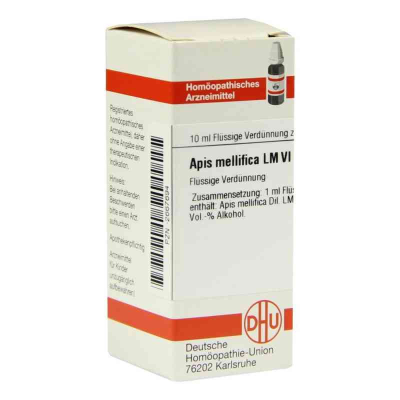 Lm Apis Mellifica Vi (10 ml) – PZN 2667694