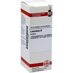 LAVANDULA URT, 20 ML – PZN 7172098