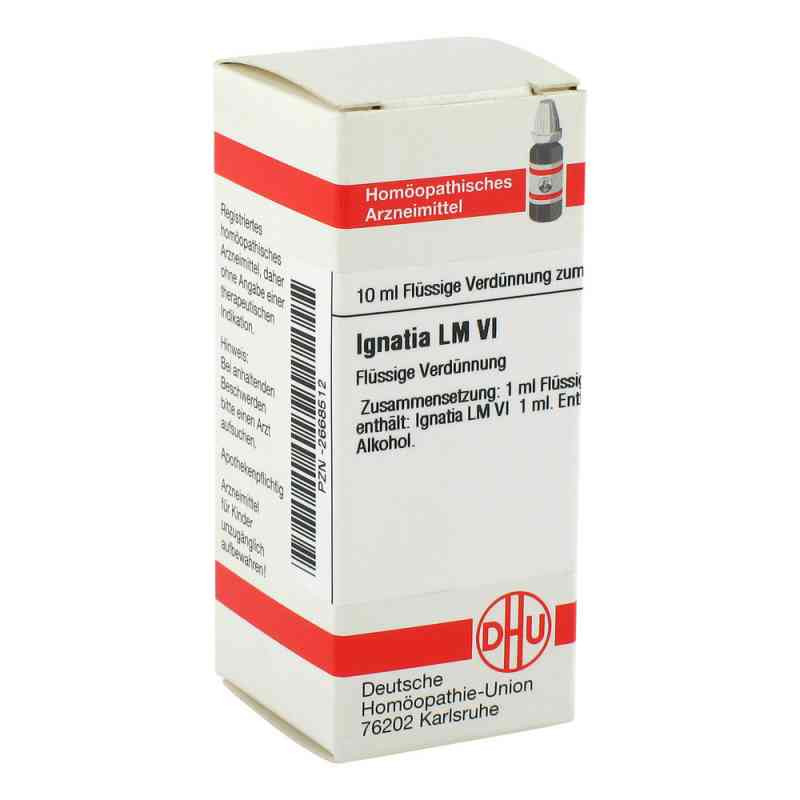 Lm Ignatia Vi (10 ml) – PZN 2668512