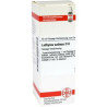 Lathyrus Sativus D 6 Dilution (20 ml) – PZN 2616515