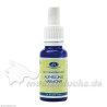 LICHT QUANTEN AQUA Aufhellung/Harmonie 20ml gelb, 20 ML – PZN 7038974