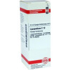 Lycopodium C 12 Dilution (20 ml) – PZN 7173086