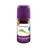 Lemongras BIO, 5 ML – PZN 4523918