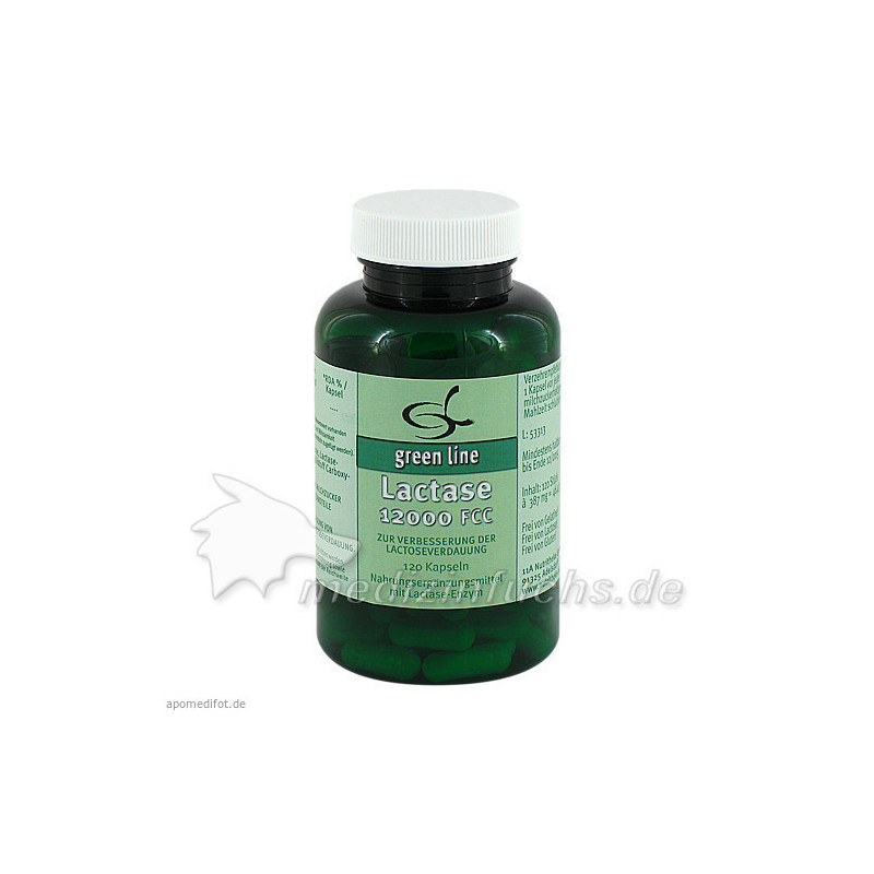 Lactase 12000 FCC, 120 ST – PZN 1466321