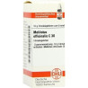 MELILOTUS OFFIC C30, 10 G – PZN 7458268