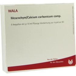 Mesenchym/ Calcium Carb. Comp. Ampullen (5X10 ml) – PZN 8510396