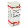 Magnesium Carbonicum D 10 Globuli (10 g) – PZN 2926687