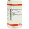 Magnesium Phos. D 2 Tabletten (80 stk) – PZN 2125326