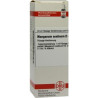 Manganum Aceticum D 4 Dilution (20 ml) – PZN 1778322