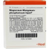 MAGNESIUM MA PHOS INJ, 10 ST – PZN 1474645