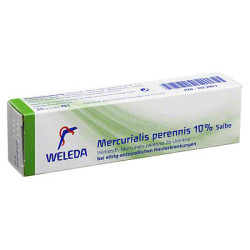 Mercurialis Perennis 10% Salbe (25 g) – PZN 1572997