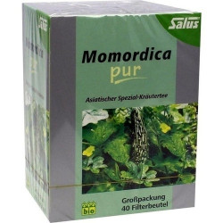 Momordica pur Asiatischer Kräutertee bio Salus, 40 ST – PZN 6793237