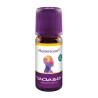 MASTERSCENT DUFTKOMPOSITION, 10 ML – PZN 7502265