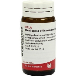 MANDRAGORA OFFIC E RAD D 4, 20 G – PZN 8786655