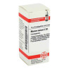 Marum Verum C 30 Globuli (10 g) – PZN 4226623