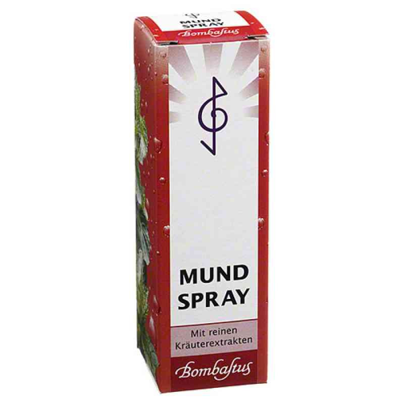 Mundspray (20 ml) – PZN 3093717