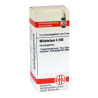 Millefolium C 200 Globuli (10 g) – PZN 4227835