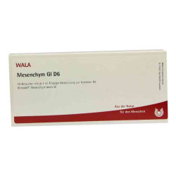 Mesenchym Gl D 6 Ampullen (10X1 ml) – PZN 2829777