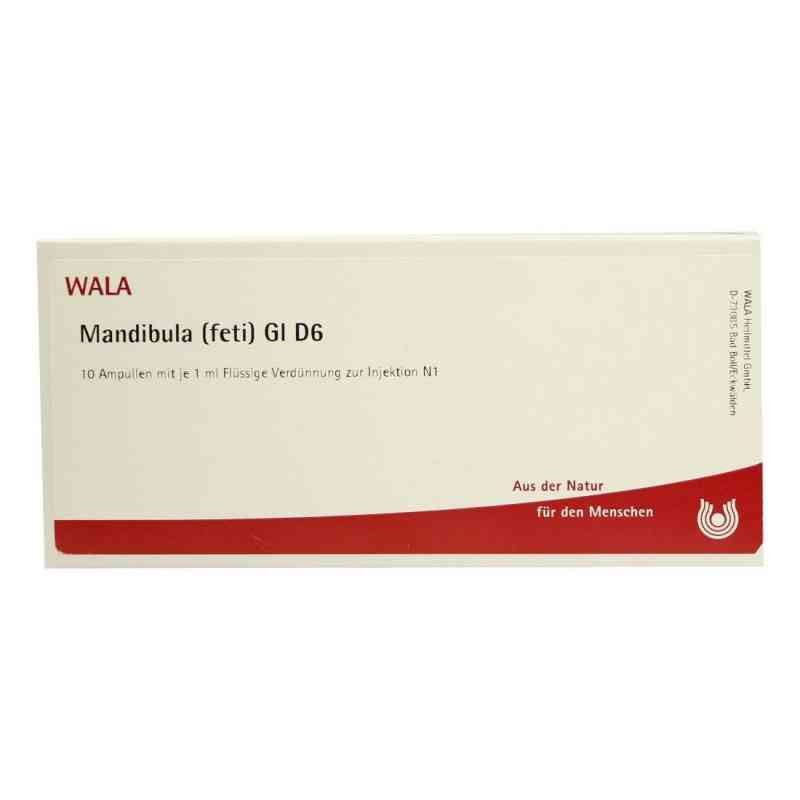 Mandibula Feti Gl D 6 Ampullen (10X1 ml) – PZN 2934209