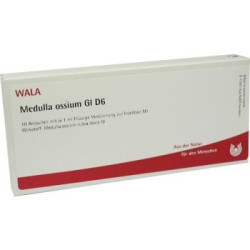 Medulla Ossium Gl D 6 Ampullen (10X1 ml) – PZN 3356140