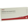 Membrana Sinus Front. Gl D 15 Ampullen (10X1 ml) – PZN 3355784
