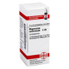 Magnesium Carbonicum C 30 Globuli (10 g) – PZN 2926670