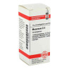 Mezereum D 4 Globuli (10 g) – PZN 2927540