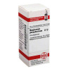 Magnesium Phos. D 12 Globuli (10 g) – PZN 2889992