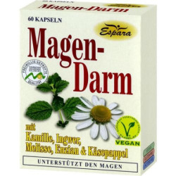 Magen-Darm, 60 ST  – PZN 7553417