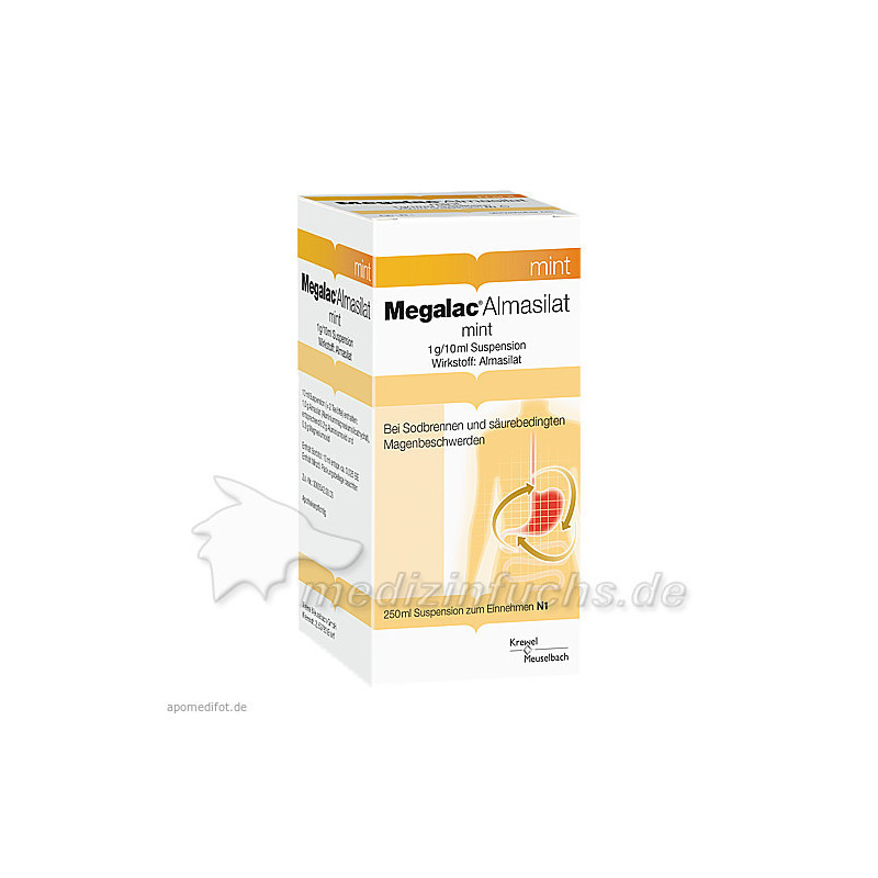 MEGALAC ALMASILAT MINT, 250 ML – PZN 4745777