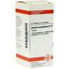 Asarum Europaeum D 12 Tabletten (80 stk) – PZN 7160362