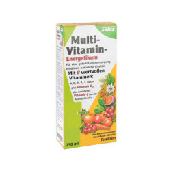 Multivitamin Energetikum Salus (250 ml) – PZN 9189855