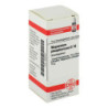 Magnesium Phos. D 10 Globuli (10 g) – PZN 2890251