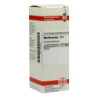 Myrtillocactus D 4 Dilution (20 ml) – PZN 2618520