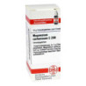 Magnesium Carbonicum C 200 Globuli (10 g) – PZN 4225658