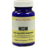 MSM 500mg GPH Kapseln, 60 ST – PZN 4411668