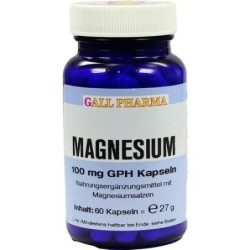 MAGNESIUM 100mg Kapseln, 60 ST – PZN 117908