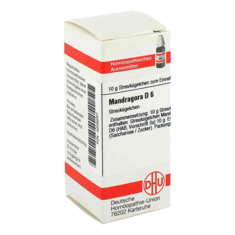 Mandragora D 6 Globuli (10 g) – PZN 4226267