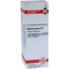Myrtillocactus D 6 Dilution (20 ml) – PZN 7174861