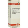 Magnolia Glauca D 4 Dilution (20 ml) – PZN 546319