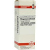 Manganum Sulfuricum D 12 Dilution (20 ml) – PZN 7173620